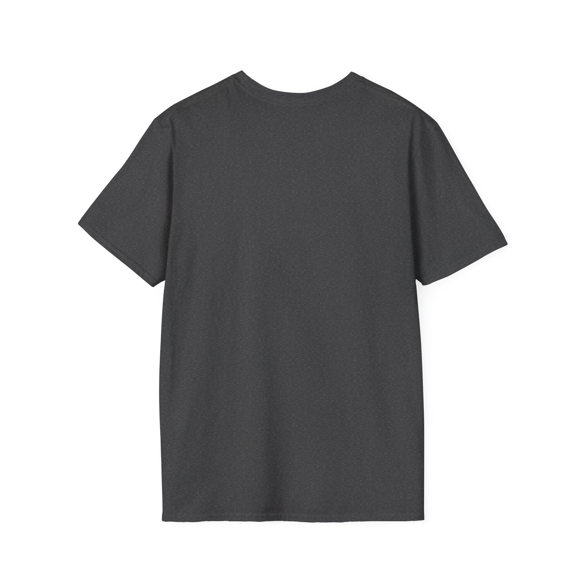Unisex Gold & Titanium: Premium Scoliosis Spine T-shirt