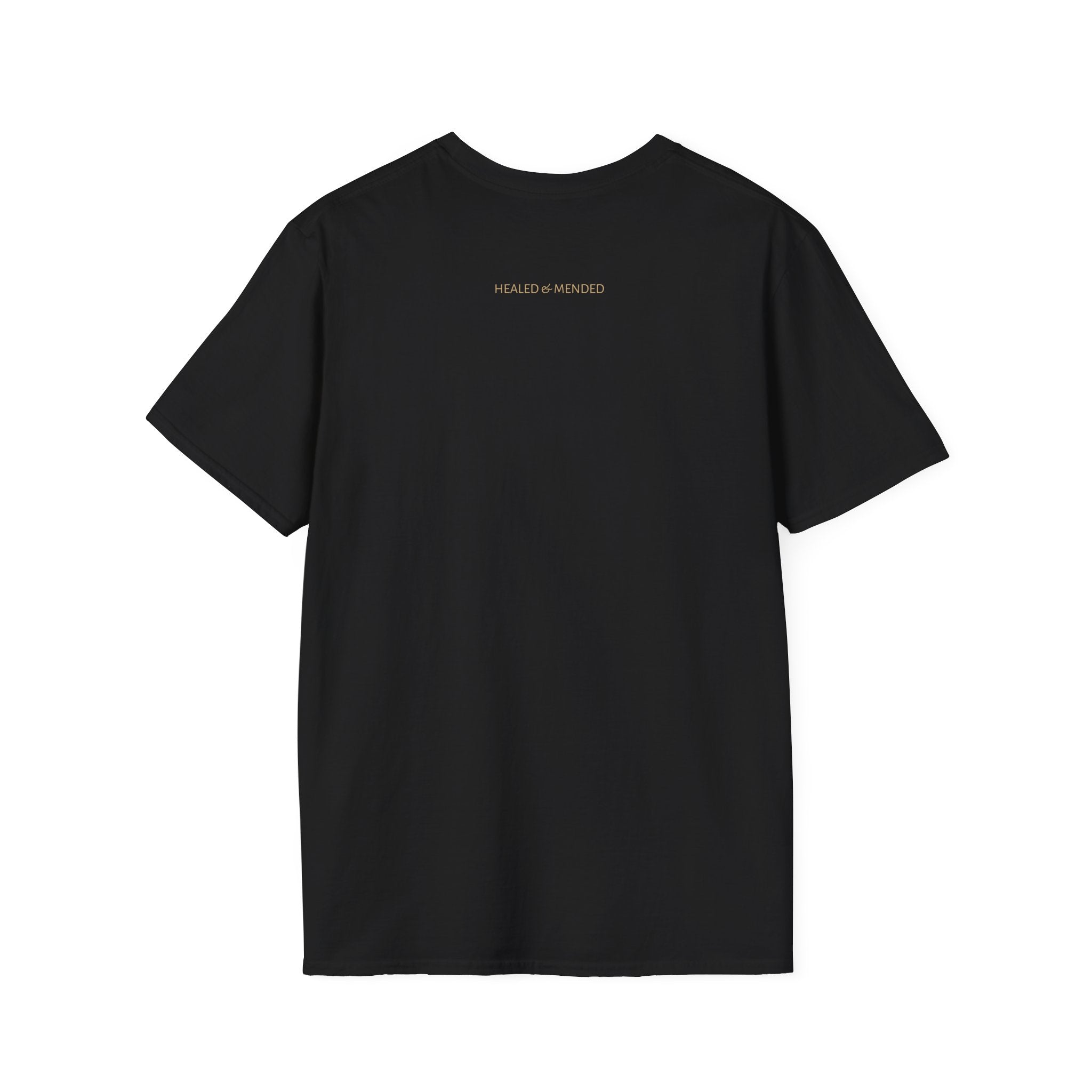Unisex Gold & Titanium: Premium Scoliosis Spine T-shirt